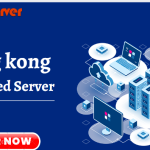 Hong Kong Dedicated Server