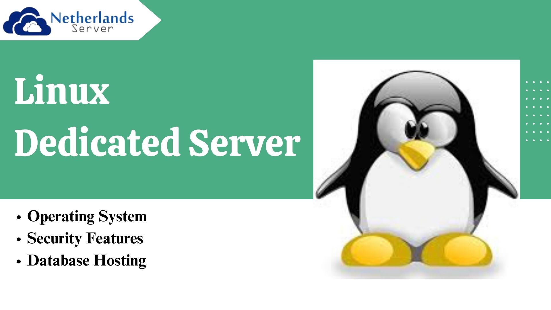 Linux Dedicated Server