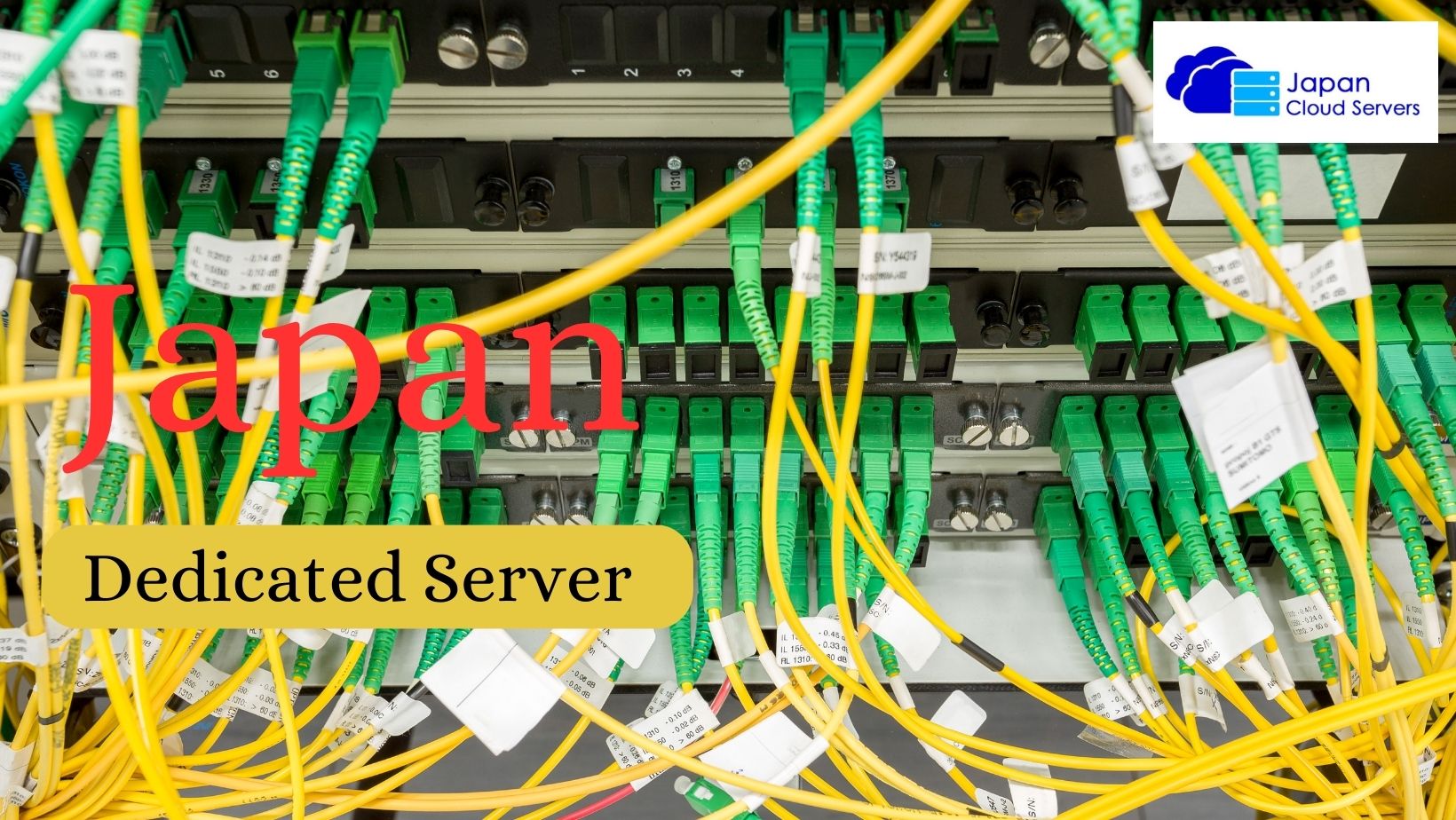 Japan Dedicated Server